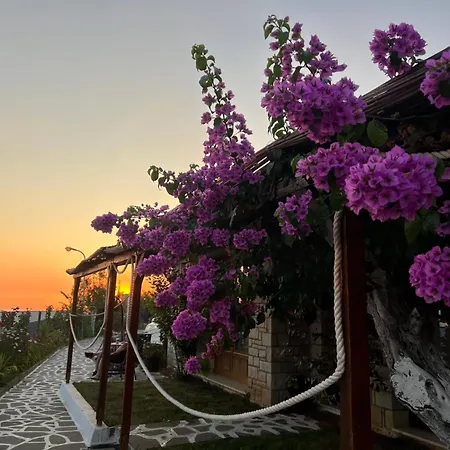 ロッジ Palermiti Luxury