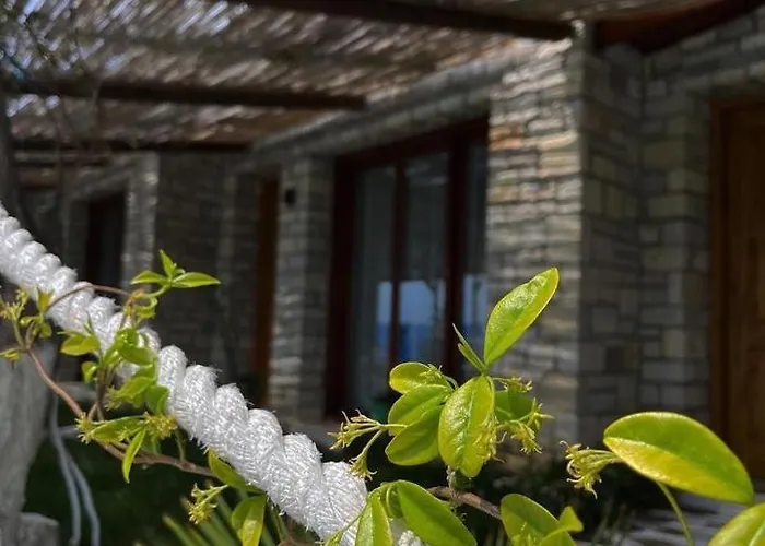Palermiti Luxury * Himarë