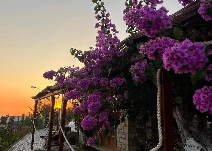 Alojamento de Turismo Selvagem Palermiti Luxury